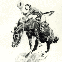 cropped-lady-bronc-rider