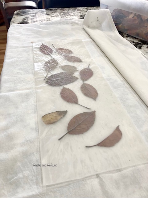 Ironed wax paper with the leaves