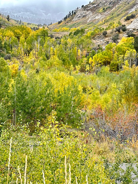 autumn colors at glacial canyon